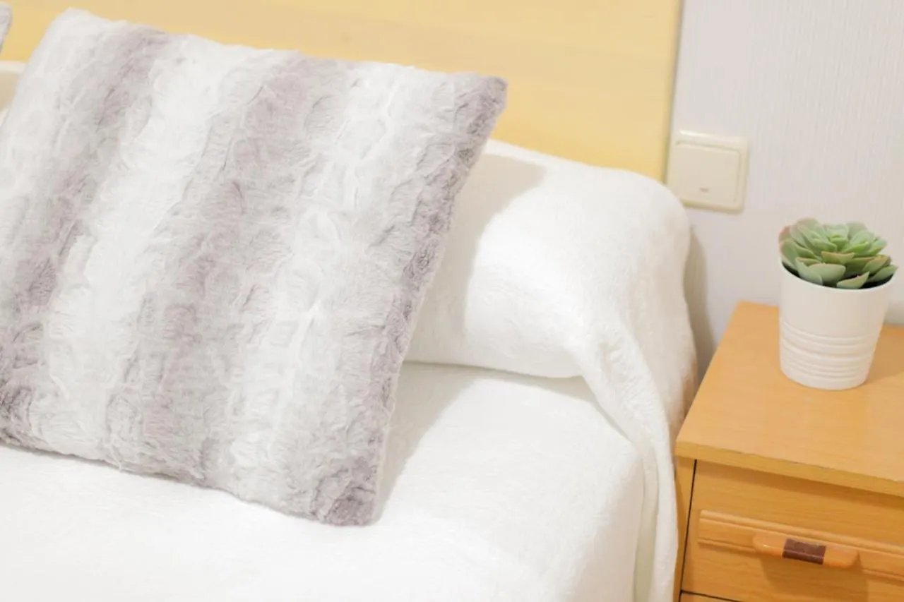 Guest house Pension San Lorenzo San Sebastian Spain